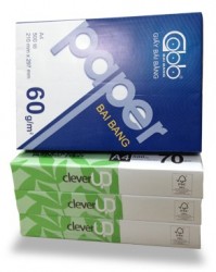 Giấy Bãi Bằng A4 60/90