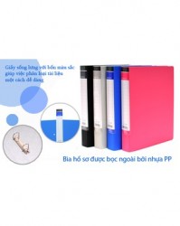 File còng chữ D A4S 2.3cm KingJim 608 BFGSV